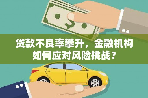 莎车贷款不良率攀升，金融机构如何应对风险挑战？