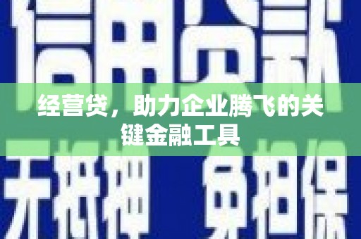 莎车经营贷，助力企业腾飞的关键金融工具