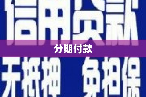 莎车分期付款
