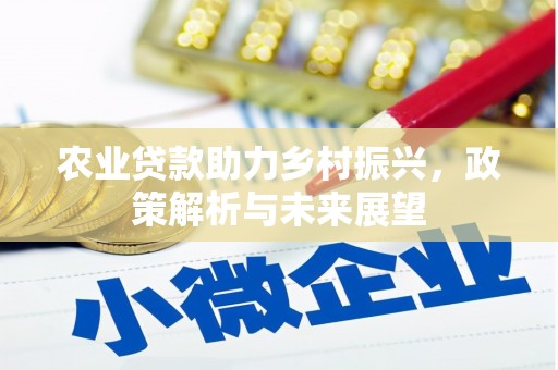 莎车农业贷款助力乡村振兴，政策解析与未来展望