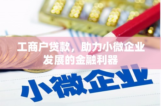 莎车工商户贷款，助力小微企业发展的金融利器