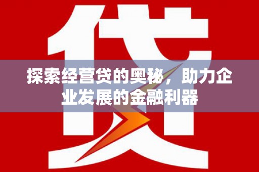 莎车探索经营贷的奥秘，助力企业发展的金融利器