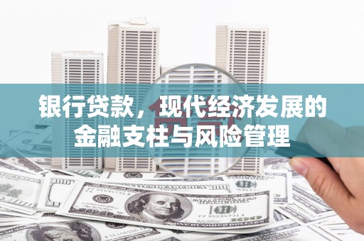 莎车银行贷款，现代经济发展的金融支柱与风险管理