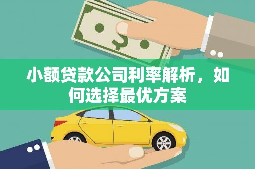 莎车小额贷款公司利率解析，如何选择最优方案