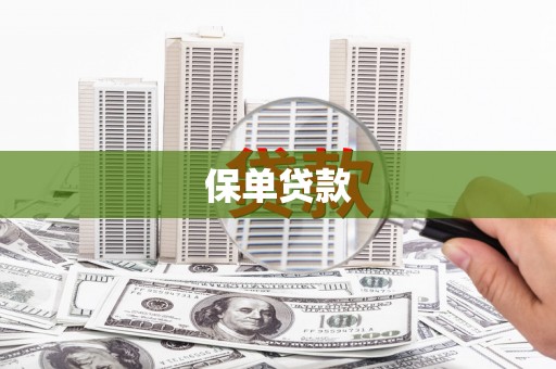 莎车保单贷款