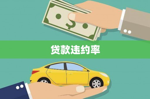 莎车贷款违约率