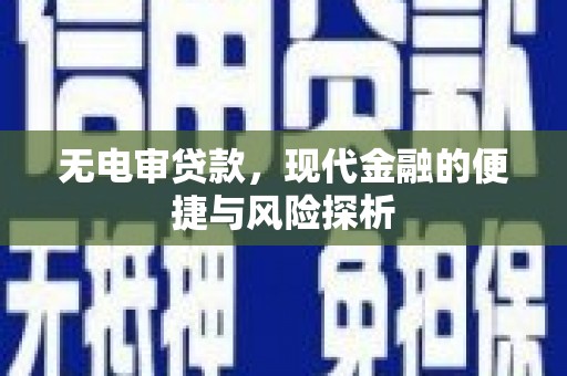 莎车无电审贷款，现代金融的便捷与风险探析