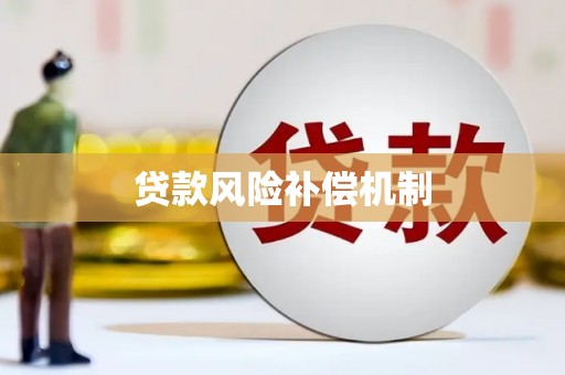 莎车贷款风险补偿机制