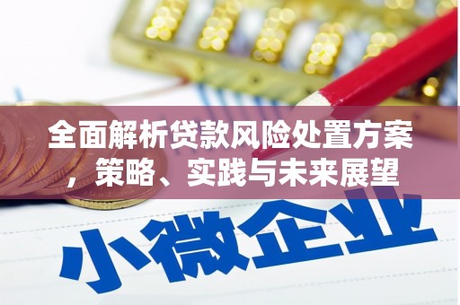 莎车全面解析贷款风险处置方案，策略、实践与未来展望