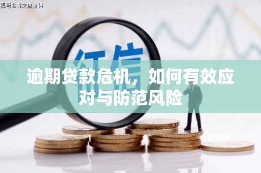莎车逾期贷款危机，如何有效应对与防范风险
