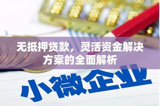 莎车无抵押贷款，灵活资金解决方案的全面解析