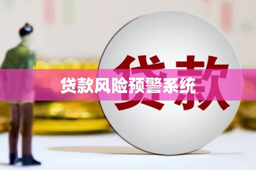 莎车贷款风险预警系统
