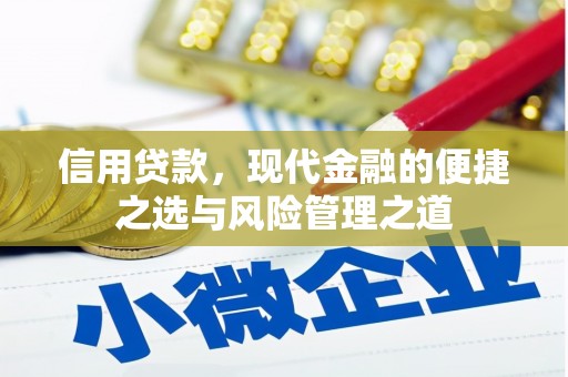 莎车信用贷款，现代金融的便捷之选与风险管理之道