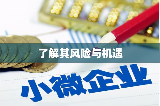 莎车了解其风险与机遇