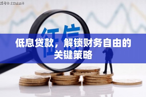 莎车低息贷款，解锁财务自由的关键策略