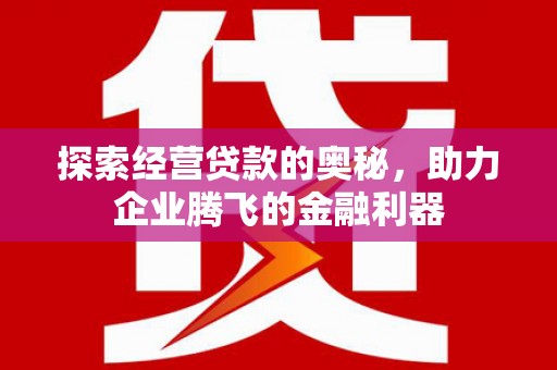 莎车探索经营贷款的奥秘，助力企业腾飞的金融利器