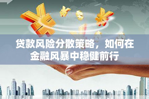 莎车贷款风险分散策略，如何在金融风暴中稳健前行