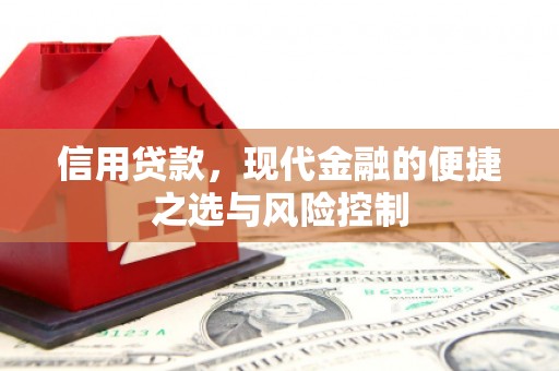 莎车信用贷款，现代金融的便捷之选与风险控制