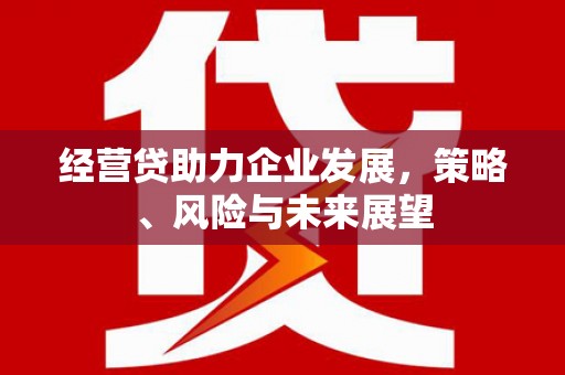 莎车经营贷助力企业发展，策略、风险与未来展望