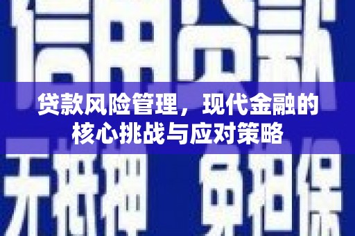 莎车贷款风险管理，现代金融的核心挑战与应对策略