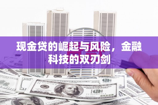 莎车现金贷的崛起与风险，金融科技的双刃剑