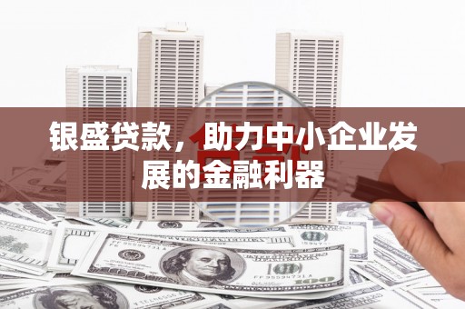莎车银盛贷款，助力中小企业发展的金融利器
