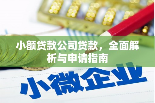 莎车小额贷款公司贷款，全面解析与申请指南