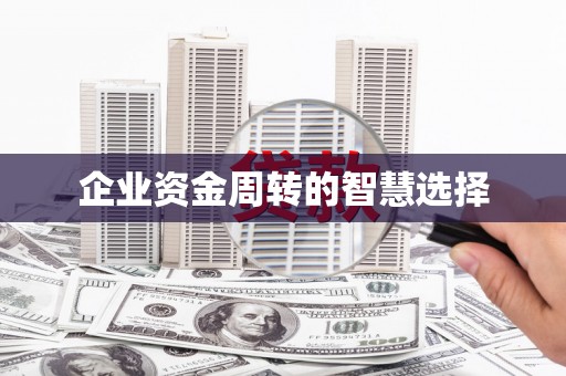 莎车企业资金周转的智慧选择