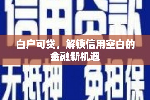 莎车白户可贷，解锁信用空白的金融新机遇