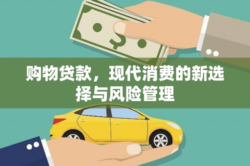 莎车购物贷款，现代消费的新选择与风险管理