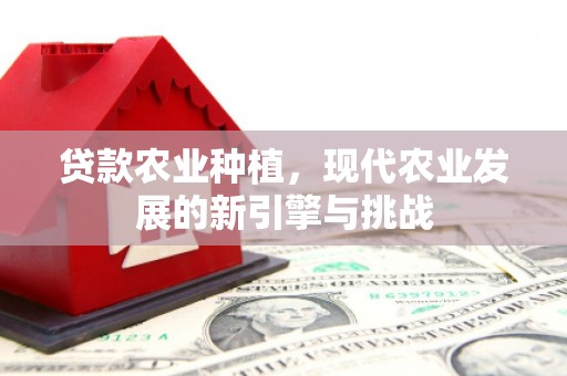 莎车贷款农业种植，现代农业发展的新引擎与挑战