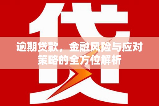 莎车逾期贷款，金融风险与应对策略的全方位解析