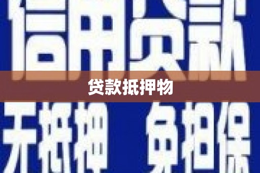 莎车贷款抵押物