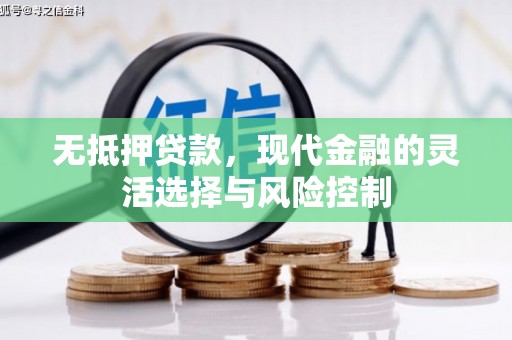 莎车无抵押贷款，现代金融的灵活选择与风险控制