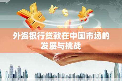 莎车外资银行贷款在中国市场的发展与挑战