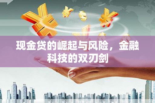 莎车现金贷的崛起与风险，金融科技的双刃剑