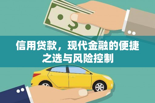 莎车信用贷款，现代金融的便捷之选与风险控制