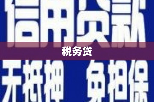 莎车税务贷