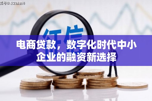 莎车电商贷款，数字化时代中小企业的融资新选择