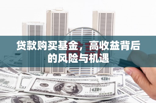 莎车贷款购买基金，高收益背后的风险与机遇