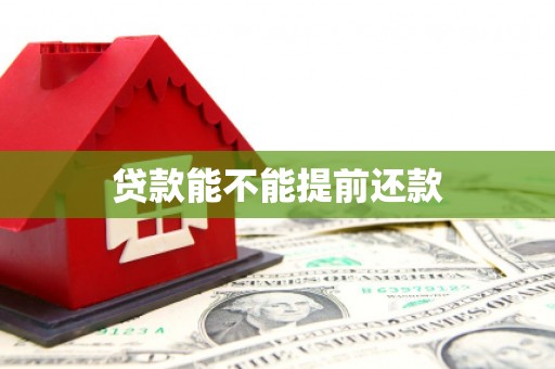 莎车贷款能不能提前还款