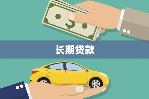 莎车长期贷款