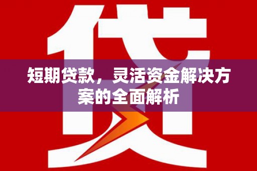 莎车短期贷款，灵活资金解决方案的全面解析