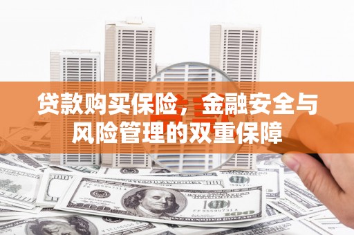 莎车贷款购买保险，金融安全与风险管理的双重保障