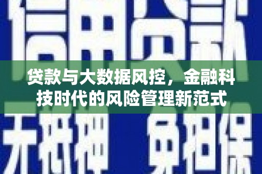莎车贷款与大数据风控，金融科技时代的风险管理新范式