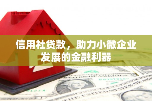 莎车信用社贷款，助力小微企业发展的金融利器