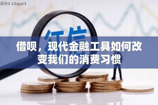 莎车借呗，现代金融工具如何改变我们的消费习惯