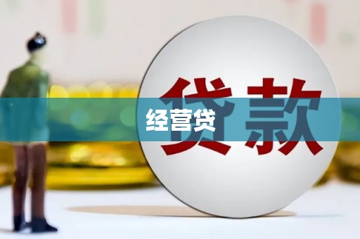 莎车经营贷