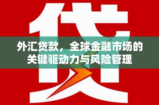 莎车外汇贷款，全球金融市场的关键驱动力与风险管理