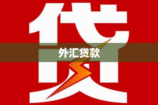 莎车外汇贷款